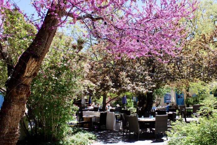 Beautiful patio with lush greenery. Outdoor dining in New Mexico