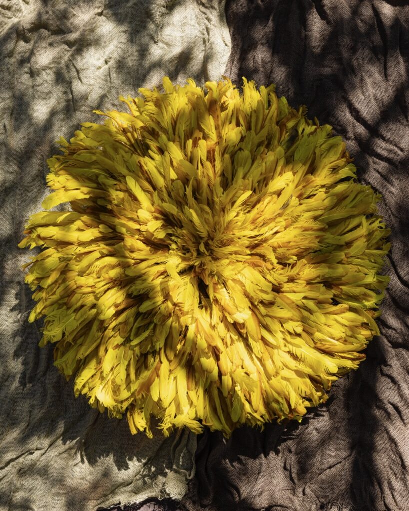 A home decor piece made of yellow feathers in a circular fluffy shape.