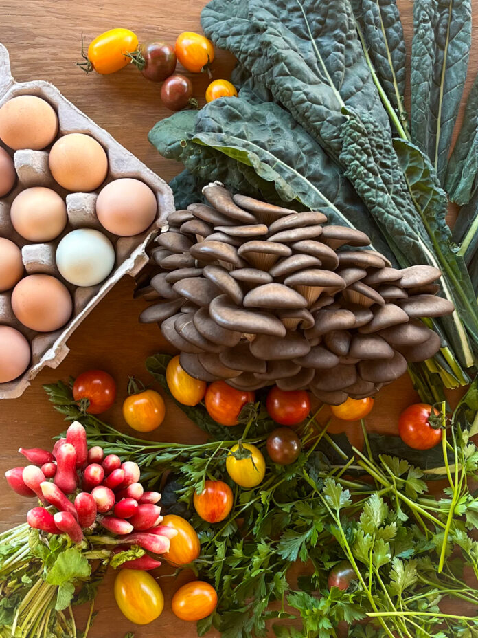 A variety of early spring products from the Farmers' Market including radishes, mushrooms, kale, eggs, and tomatoes.