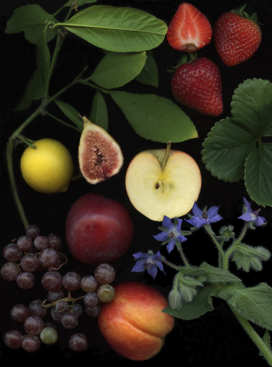 Pears, apples, strawberries, grapes, and a peach sit amongst greenery on a black background styled by Susan Burks.