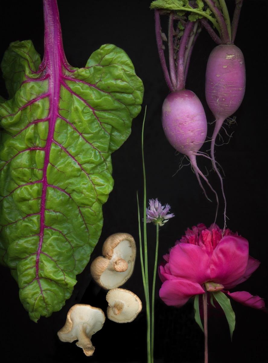 Turnips, mushrooms, flowers, and a large leaf with purple veins sits on a black background.