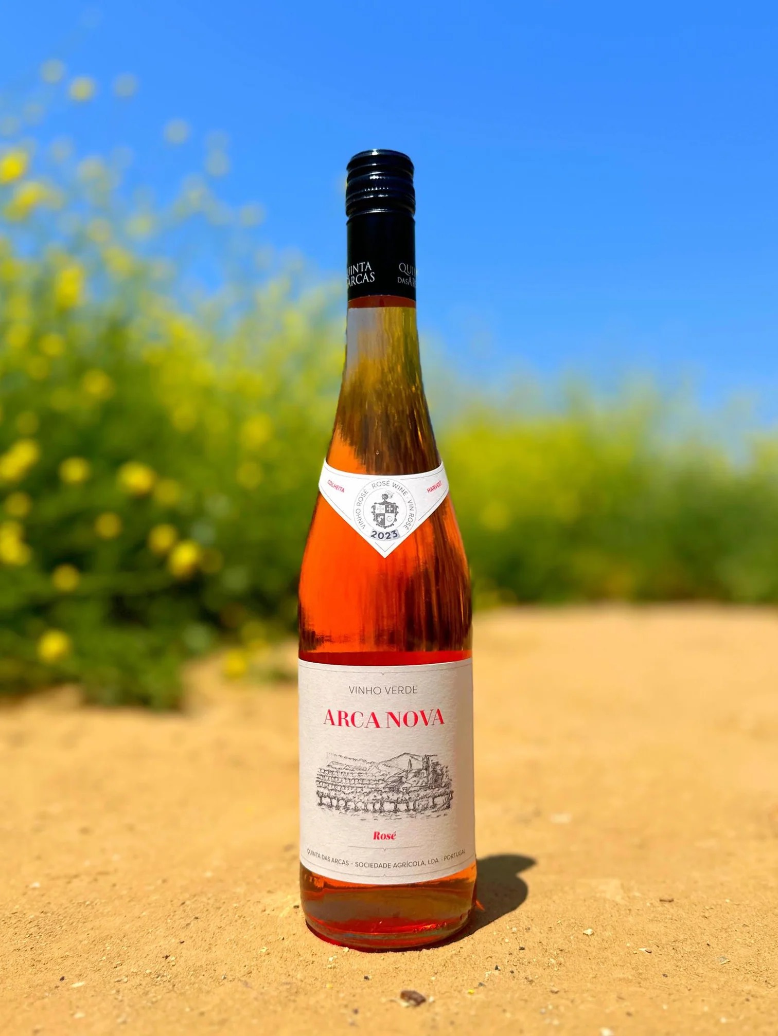 A bottle of red rose wine sits on a dusty orange background with greenery behind the bottle.