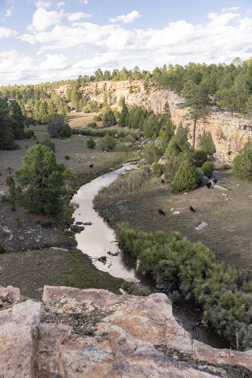 The landscape at Beck and Bulow shows mountains and trees with a small creek.