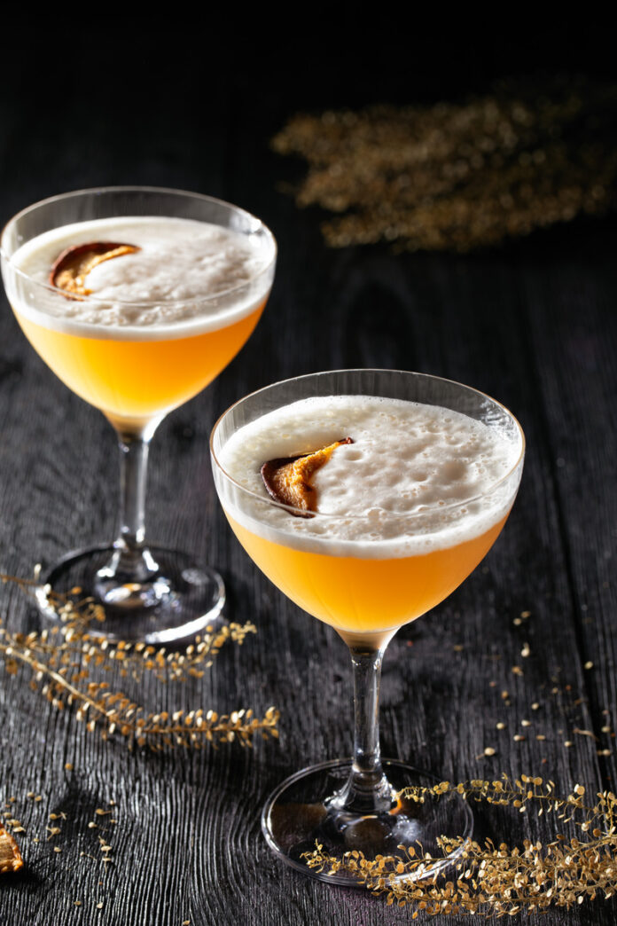 Bonita Applebum cocktail featuring apple brandy, ginger-chai honey syrup, and orange bitters in a martini glass garnished with a dehydrated apple slice on a rustic wooden surface.