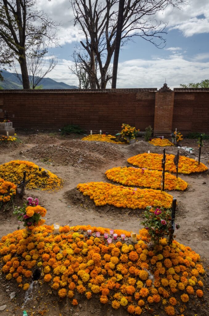 Marigolds cover graves to celebrate Day of the Dead in Mexico