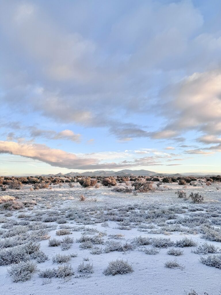 A picturesque snowy landscape with a wide field and snow-laden trees, embodying the beauty of winter.