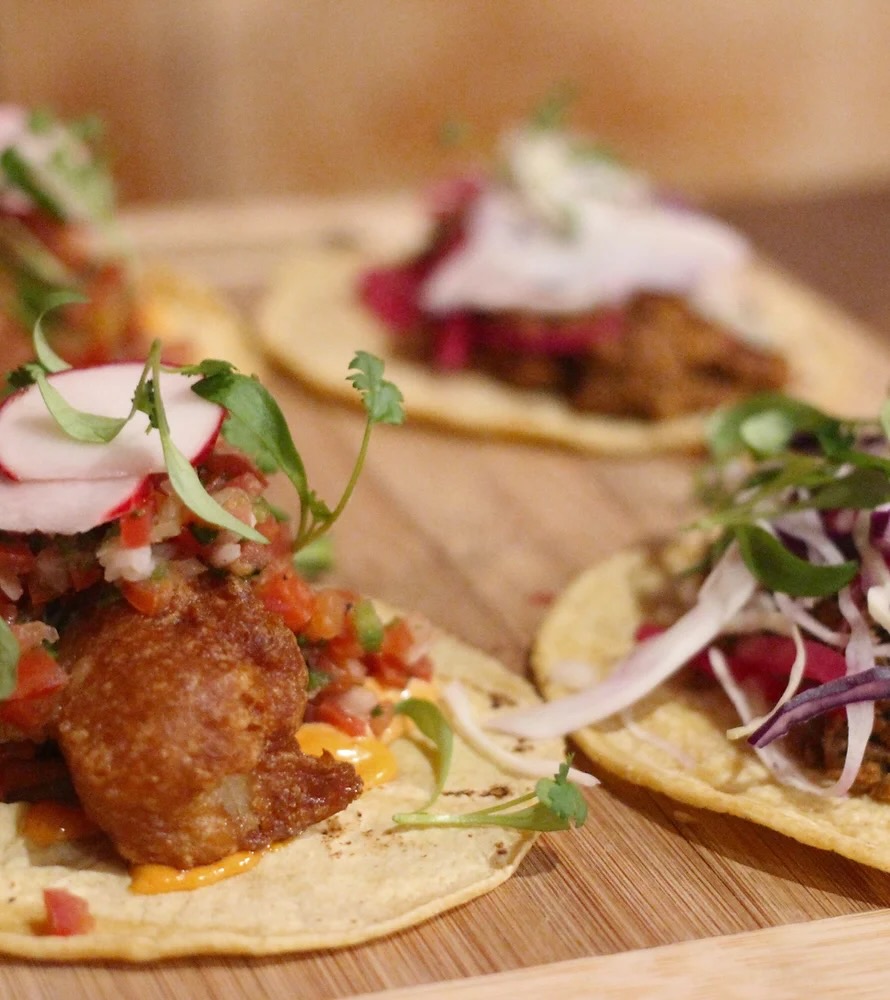 Three tacos sit open face with meat, onion, tomato, and cilantro on top.