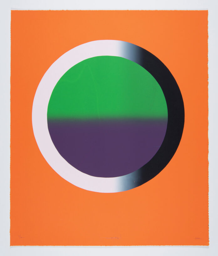 An orange art piece with a half black, half white circle and half green and half purple on the inside of the circle.