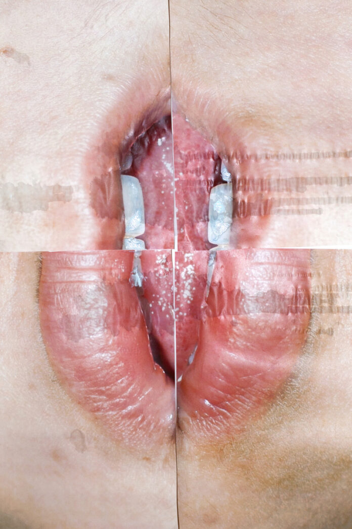 This Spring's Art Gallery Scene in New Mexico Surreal fragmented close-up of human lips and teeth in contemporary photographic artwork by Emily Margarit Mason, exploring themes of identity and perception.