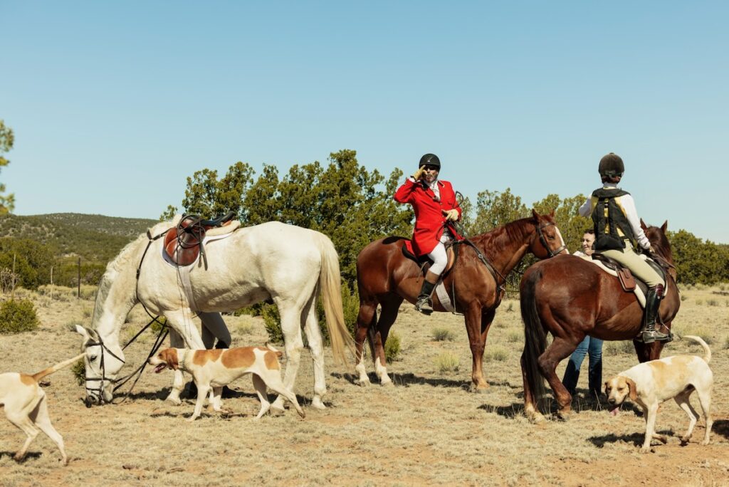 A group of horses gather under a desert sky