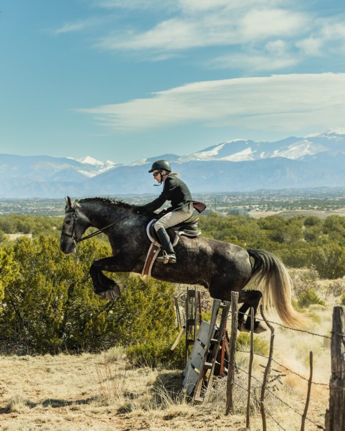 Whoopie Wagon A horse jumps over a fence in the New Mexico dessert.