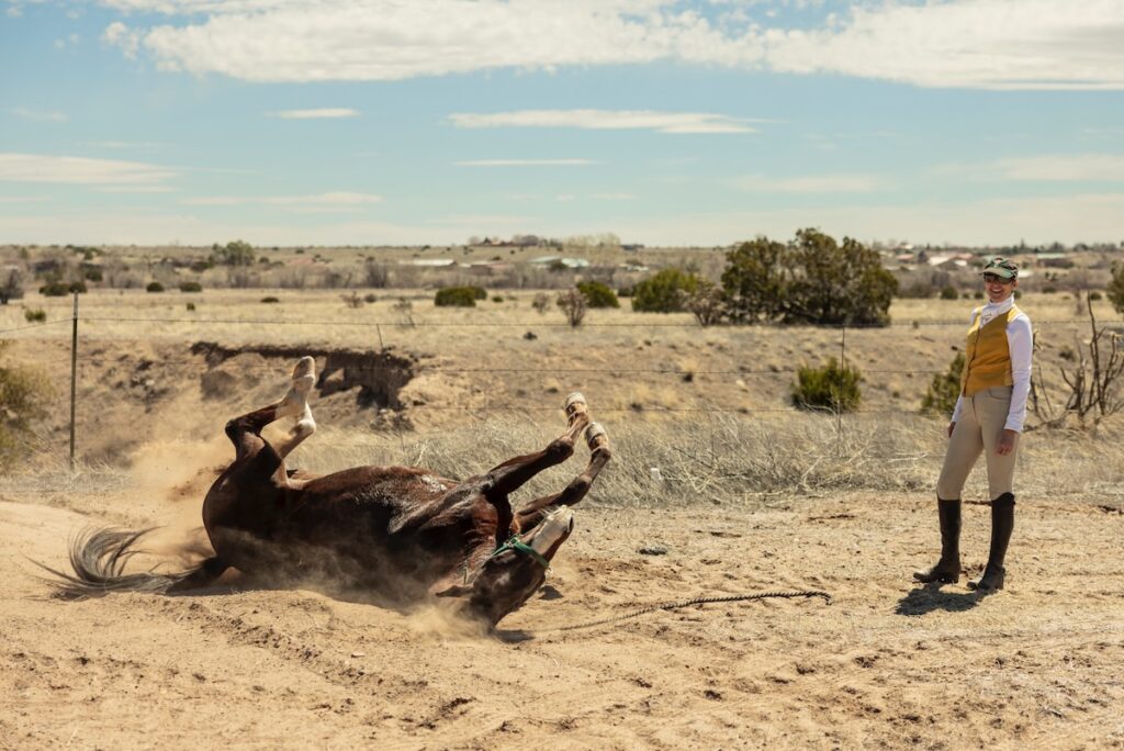 A horse rolls around exuberantly in the dirt at Whoopie Wagon.