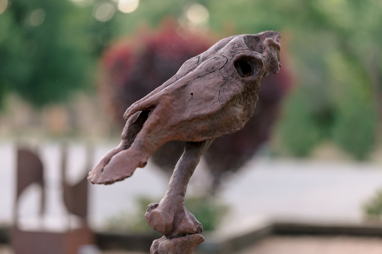 A brown, weathered sculpture resembling an animal skull or bone mounted on a pedestal.