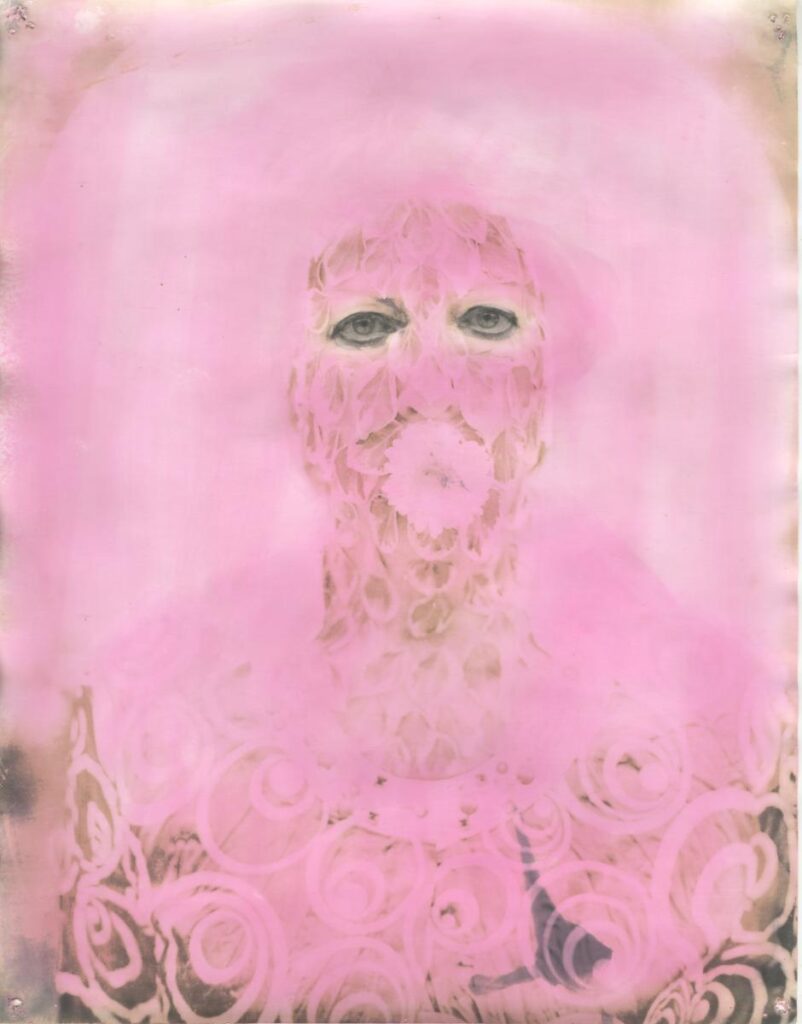 A digitally manipulated, pink-toned portrait of a person's face covered in a lace-like pattern and what appears to be flower petals.