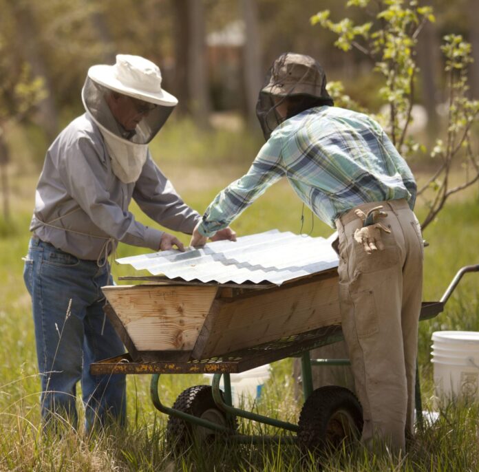 honey brand breakdown 1 2 two beekeepers in field standing over honey bin