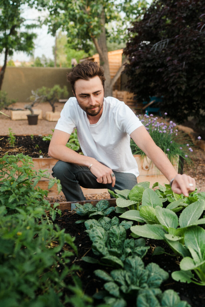 Tending the Roots 1 man reaching in jacks garden to green plants