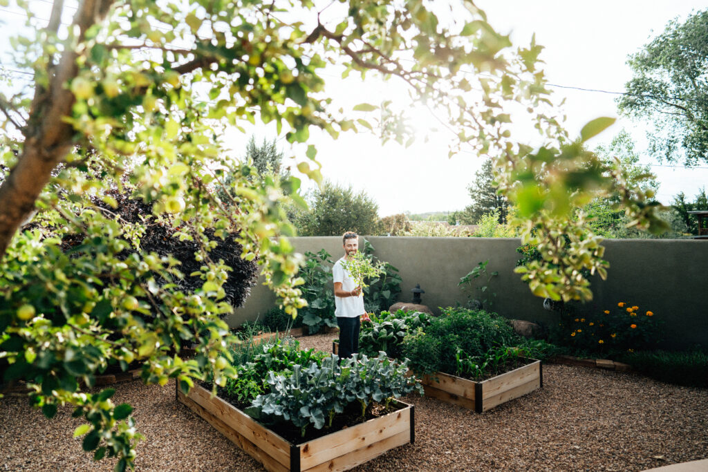 overview of jack's garden with two large wooden bins