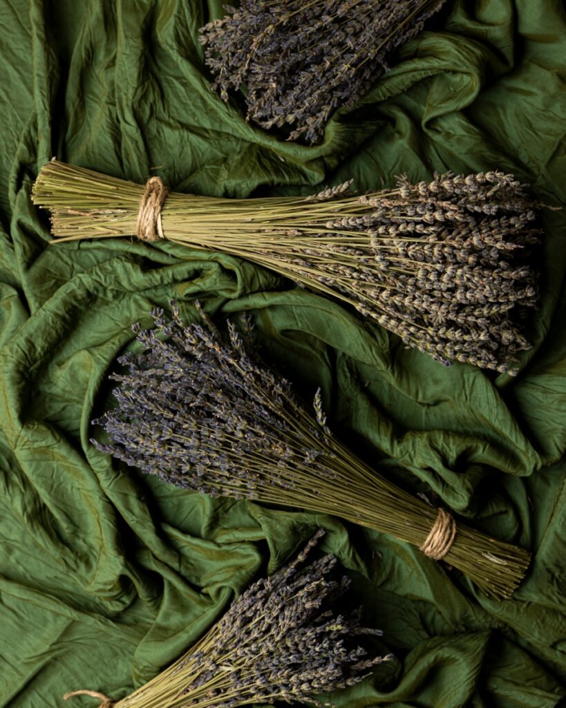 Three bundles of dried lavender tied with twine, with purple and gray buds, resting on a rumpled, textured dark green cloth.