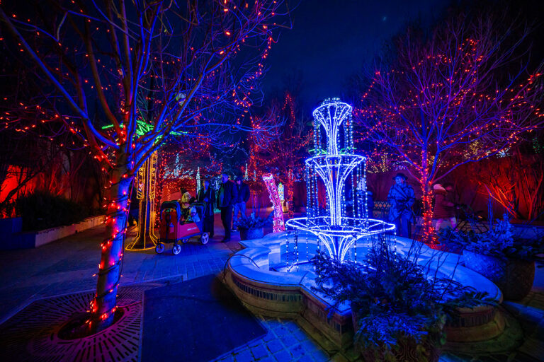 riveroflightsnewimage 768x512