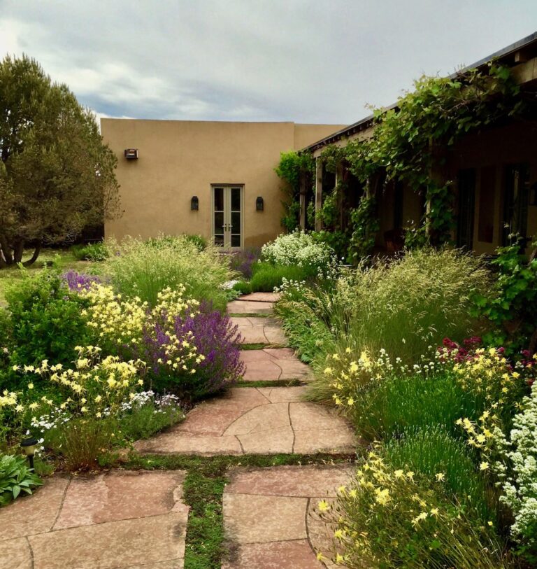 BAW Tours week 1 photo part 2 1934x2048 1 768x813