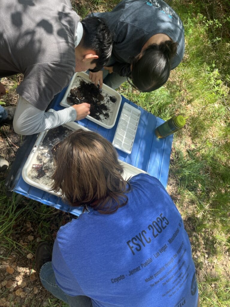Three people examine samples of the soil.
