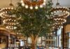 Why The Fifth Avenue Hotel Is NYC’s Hottest Luxury Hotel The opulent interior of Café Carmellini at The Fifth Avenue Hotel, featuring grand chandeliers, blue velvet seating, and towering indoor trees.