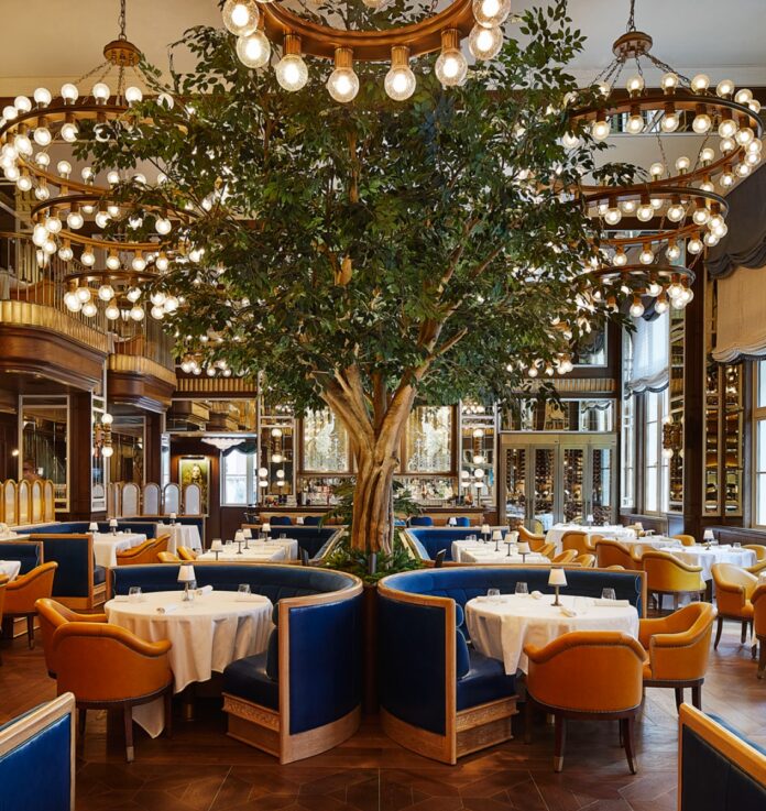 The opulent interior of Café Carmellini at The Fifth Avenue Hotel, featuring grand chandeliers, blue velvet seating, and towering indoor trees.
