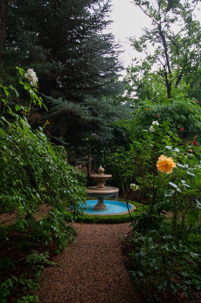 A garden fountain sits between large green bushes.