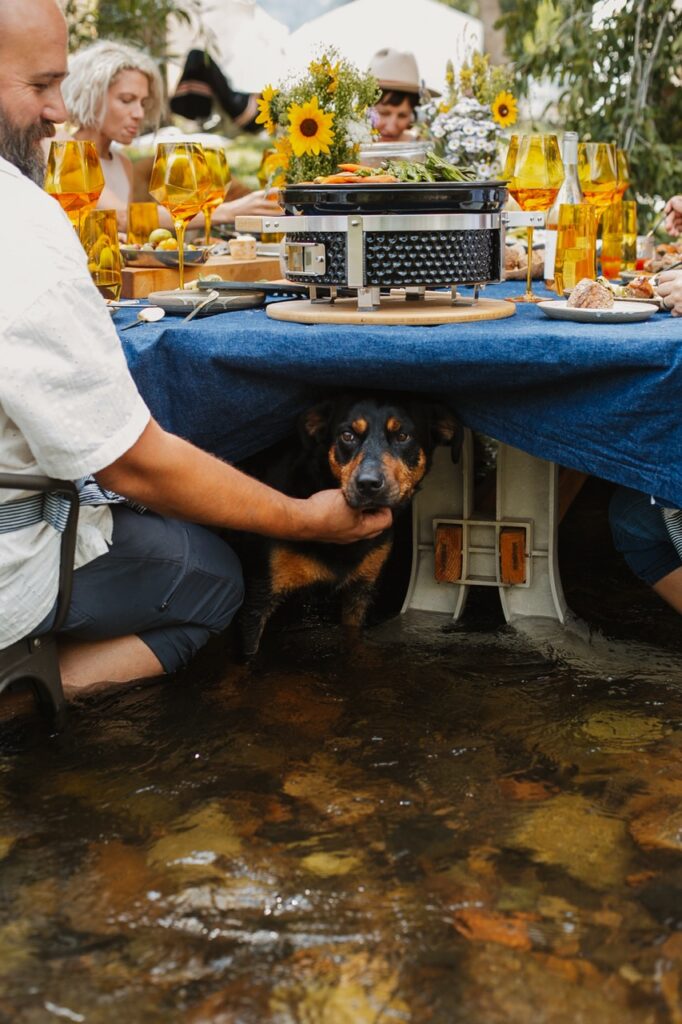 A man pets a down under a table in the river.