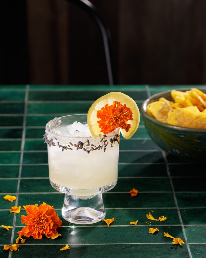 A short cocktail glass with lavender herbs on the rim and a grapefruit slice on the rim too. An orange flower sits beside the glass.
