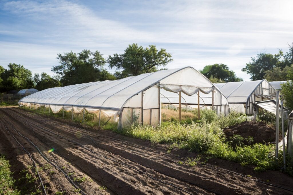 Two greenhouses in the middle of a farmers garden area.